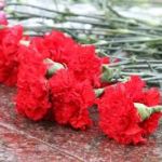 Сотни цветов возложили томичи 23 февраля в рамках всероссийской акции