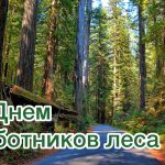 20 сентября 2020 года – День работников леса и лесоперерабатывающей промышленности